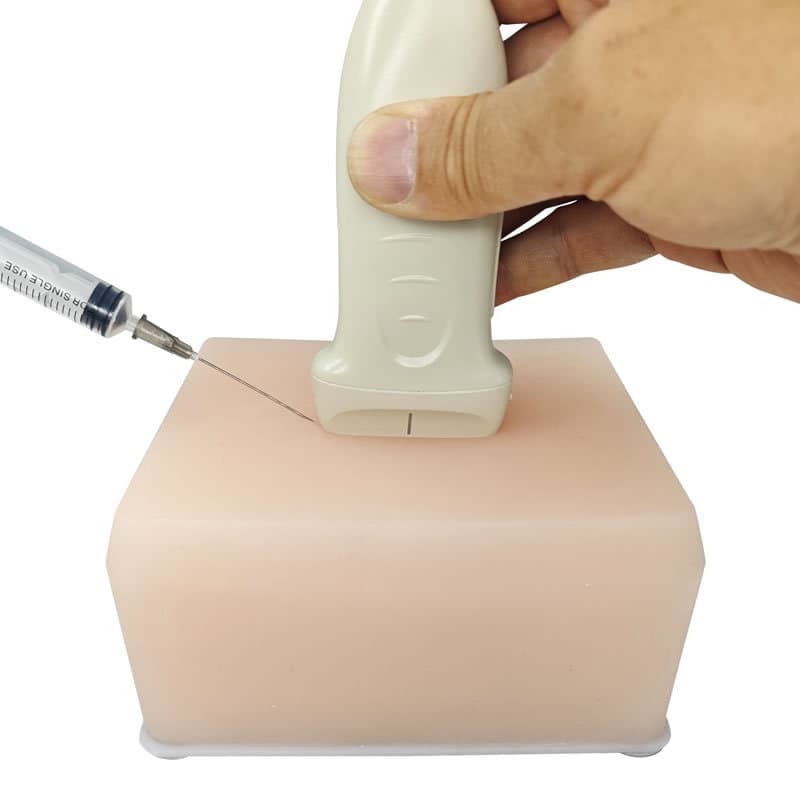 Ultrasound Puncture Training Comprehensive Model Includes 4 Types of Blood Vessels, Masses, Nerves, and Cystic Lesions