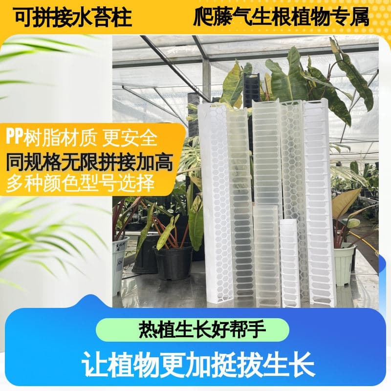 Monstera Moss Pole, Moss Pole, Sphagnum Moss, Plant Moss Pole, Monstera Climbing Support Pole
