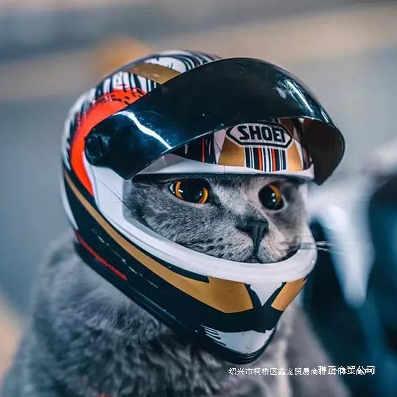 Cat Motorcycle Helmet, Pet Cat Motorcycle Helmet, Dog Cool Mini Motorcycle Helmet Hat, Universal Fleece Lining