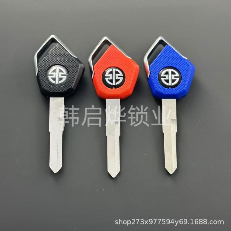 Motorcycle Kawasaki H2 H2R Z800 Z900 Z1000 ZX-6R ZX-10 Key Blank/Handle Chip Electronic Vehicle