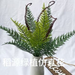 Fern Plant Raw Persian Leaf Soft Rubber Green Plant Decoration Photography Prop Wall Landscape Scenery Fern Grass