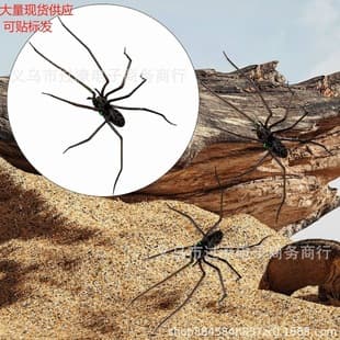 Creative New 2025 Spider Fridge Magnets Home Spider Magnet Refrigerator Decor