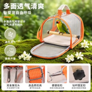 Transparent Parrot Carrier Bird Carrier Portable Outdoor Small Bird Pigeon Lizard Breathable Bird Cage Small Pet Supplies Wholesale