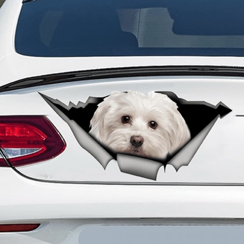 2026 New Cross-border Drop Shipping Pet Dog Car Decal Sticker
