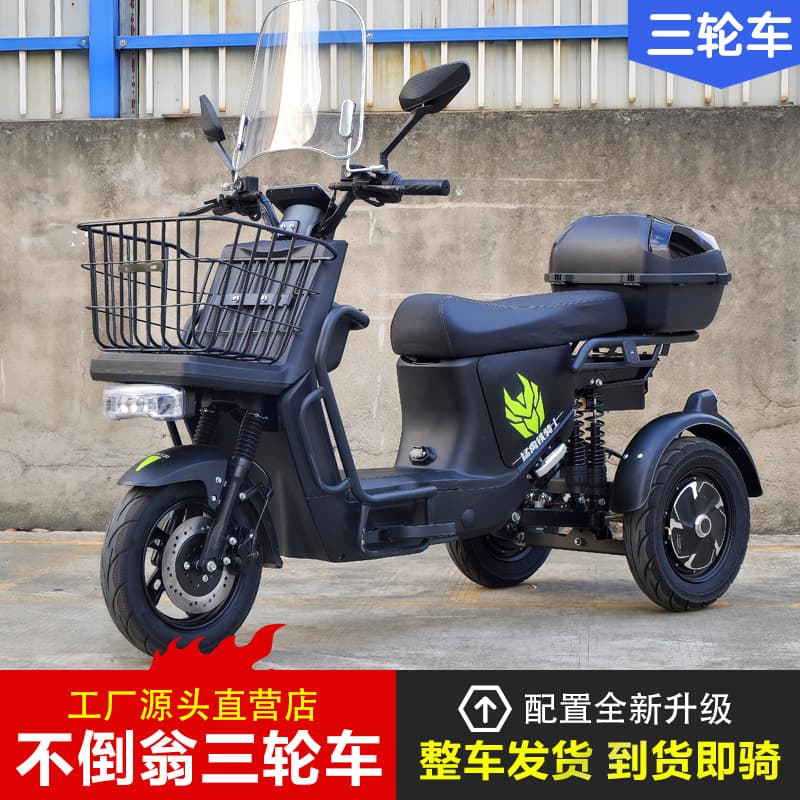 Load King Electric Tumbler Swinging Tricycle Takeaway Food Delivery Cargo Loading Long Distance Running King Lithium Battery Scooter