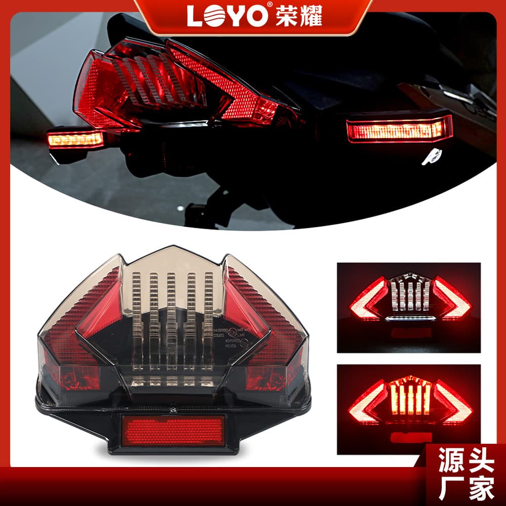 Tail Light with Brake Light and Turn Signal for BMW R1200GS F800 Motorcycle Modification