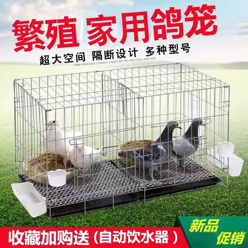 Pigeon Pairing Cage Pigeon Cage Farming Cage Large Pigeon Cage with Breeding Pigeon Cage Pet Parrot Live Bird Cage