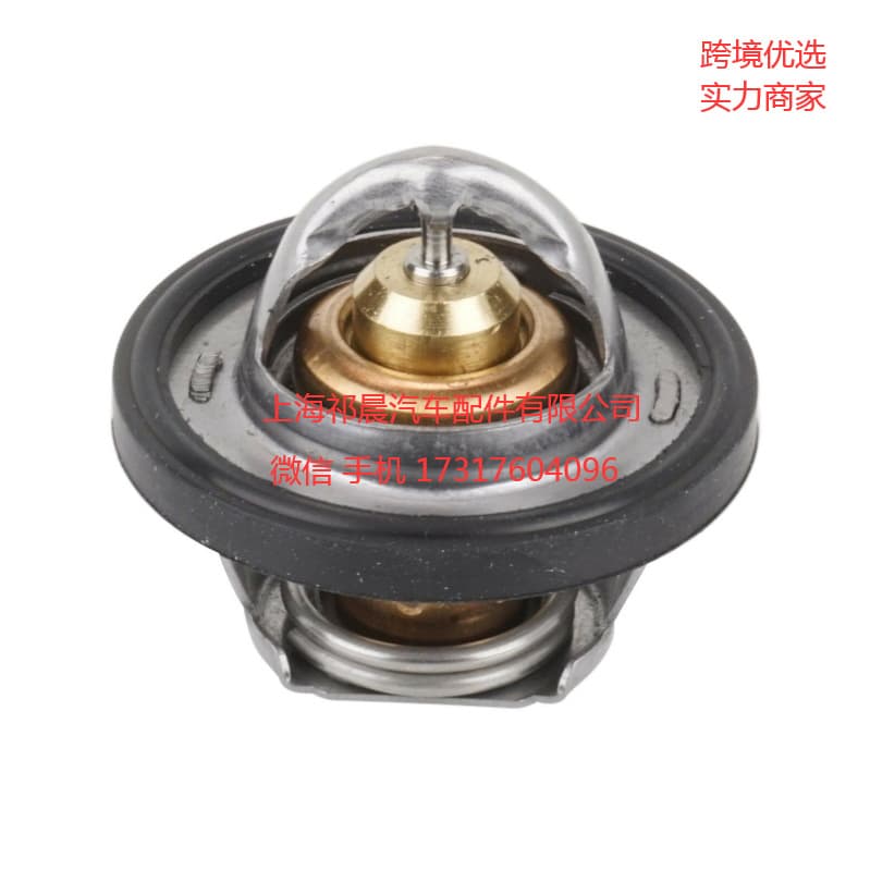 180F Thermostat with O-Ring Compatible with Polaris 7052496 5413948