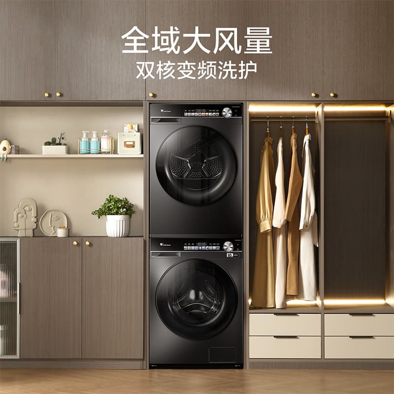 Littleswan TG100SC81+TH100VH81MAX Washer Dryer Set (10KG)