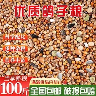 Pigeon Feed Without Corn, Nutritious Bird Food for Ornamental Pigeons, Meat Pigeons, Young Pigeons, and Adult Pigeons