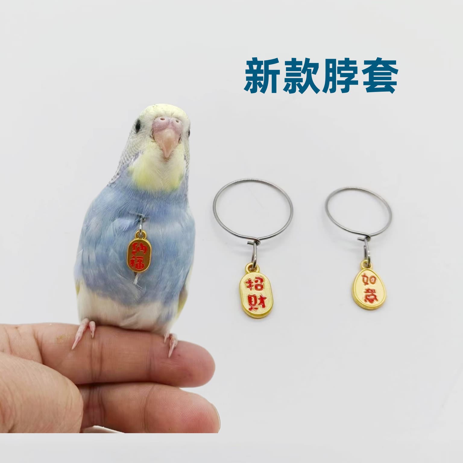 Parrot neck collar tiger skin peony Xuanfeng stainless steel bird chain bo ring live buckle bo rope newsbird supplies utensils