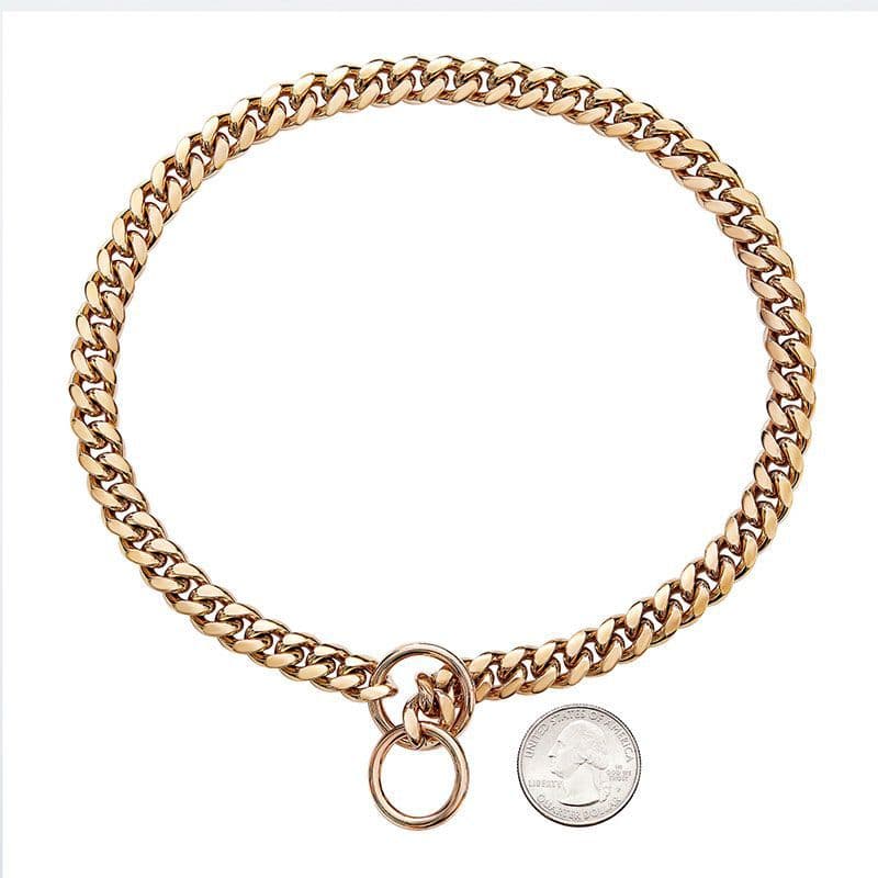Dog P-Chain Collar, Stainless Steel Dog Chain, Leash for Medium and Large Dogs, Training Dog Collar, Gold-Plated Chain Dog Necklace