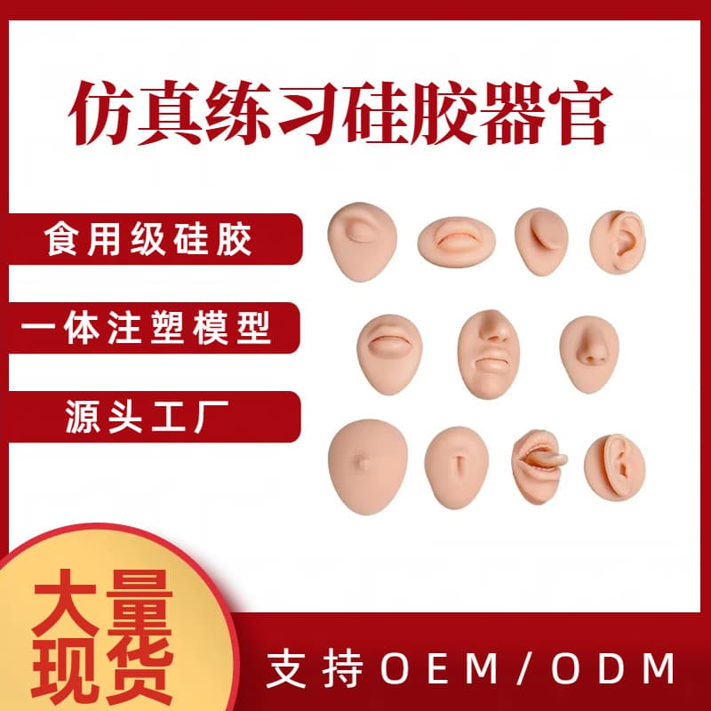 Simulated Human Ear Silicone Model for Piercing Acupuncture Ear Acupoint Practice Teaching Earring Display