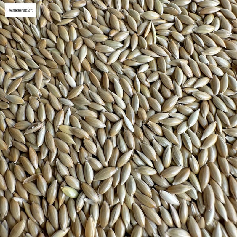 Parrot Bird Food Canary Seed White Pointed Millet Canary Hibiscus Parrot Oriole Bird Food
