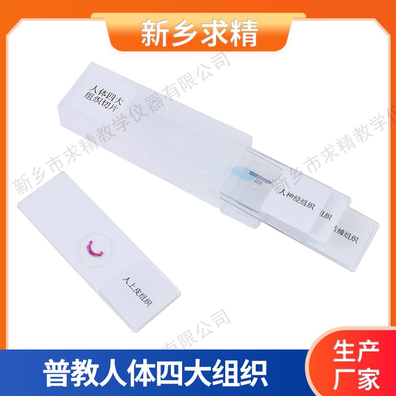 Factory Wholesale Human Tissue Slides 4-Piece Set - Microscope Biological Glass Slides for Academic Exams