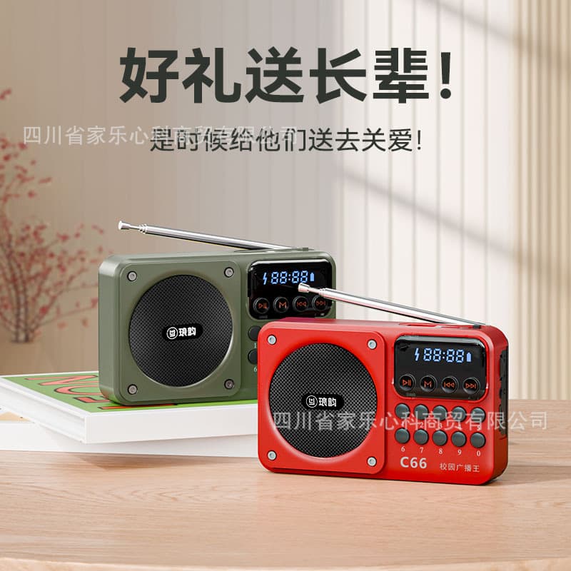 2025 New Langyun C66 Multi-Function Campus Radio, Mini Bluetooth, Multi-Band Campus Broadcast King