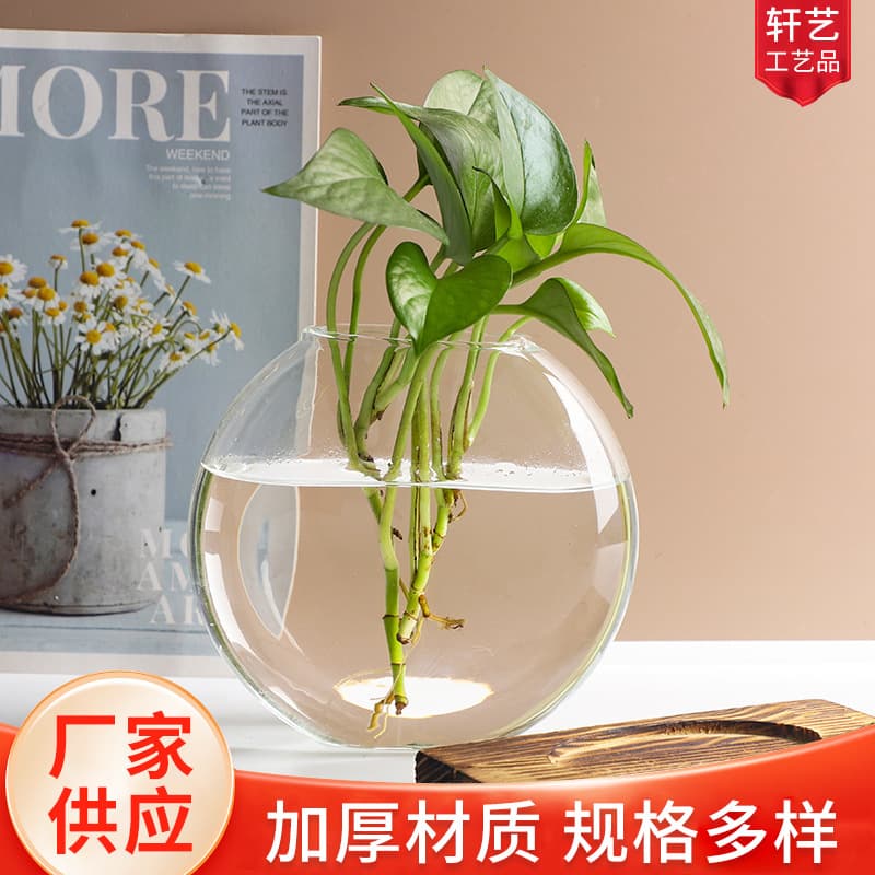 Miniature landscape plant vases, moss bottles, DIY succulent plant containers, glass eco-bottles for fishkeeping.