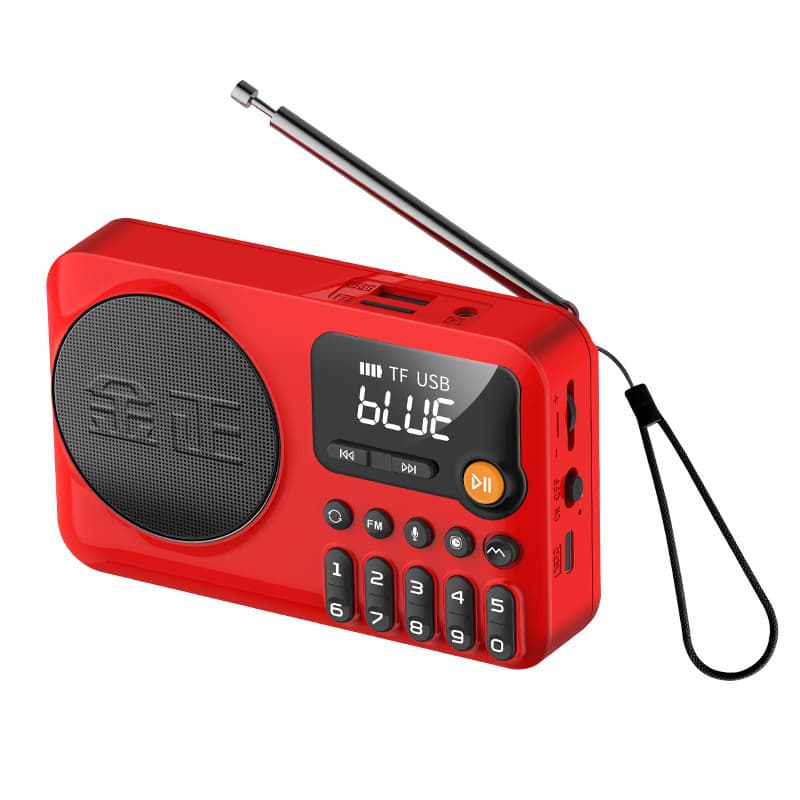 JinZheng C18 Bluetooth MP3 Player with Timer Shutdown, Card Slot, Music Singing Machine, Rechargeable Recorder