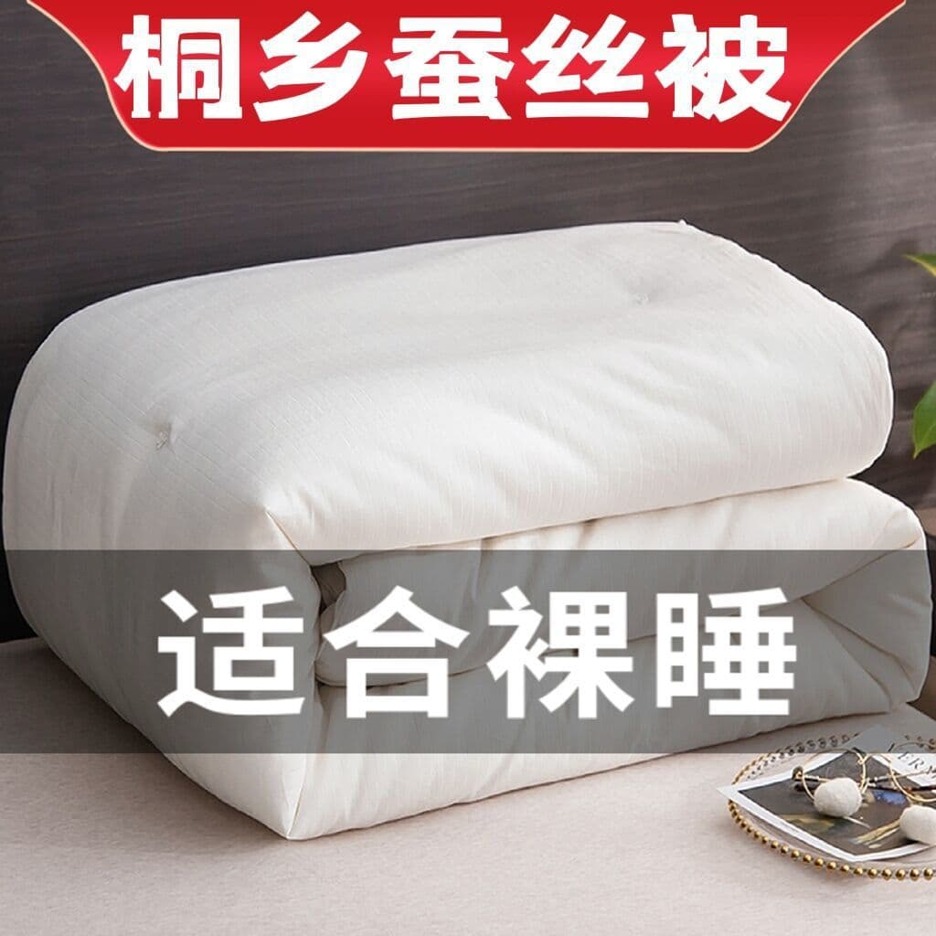 Silk Quilt 100% Winter Mulberry Silk Quilt Silk Class A Winter Thickened All-Season Warm Dual-Comforter 2-in-1 Wholesale