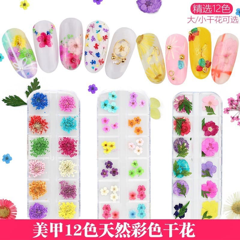 12-Color 3D Nail Dried Flowers, Long Box and Large Dried Flowers, 24 Bulk Multi-Size Nail and Nail Accessories Wholesale