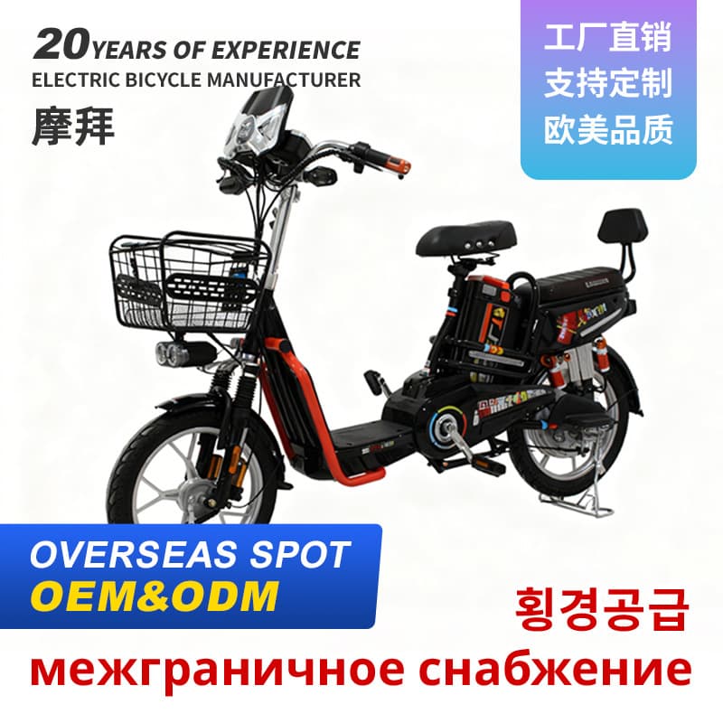 North Korea Electric Bicycle Long Range Adult Two-Wheeled Child Carrier Commuter Electric Assist Bike