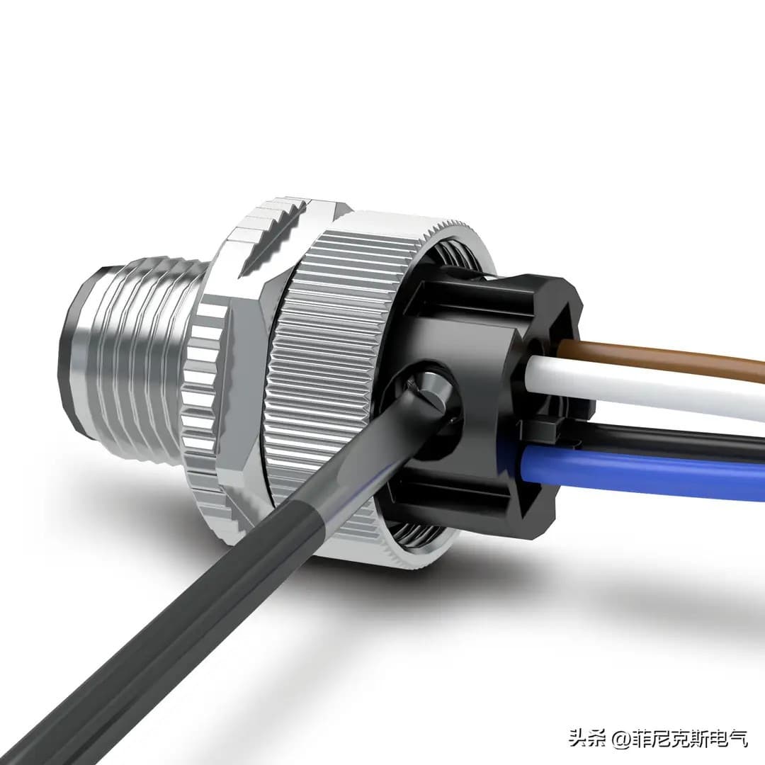 M12 Connector Male Female Sensor Shielded 4-Core 5-Core 8-Core 12-Pin Waterproof Aviation Plug Terminal