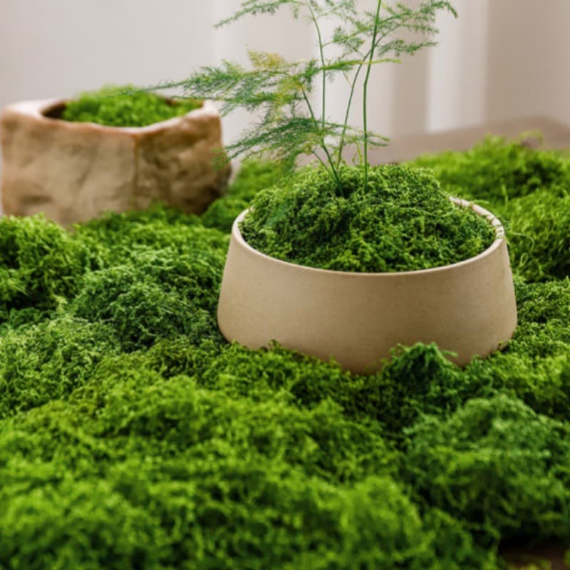Simulated filamentous wool moss, artificial micro-landscape ornaments, lawn moss, bonsai decoration, landscaping, simulated moss