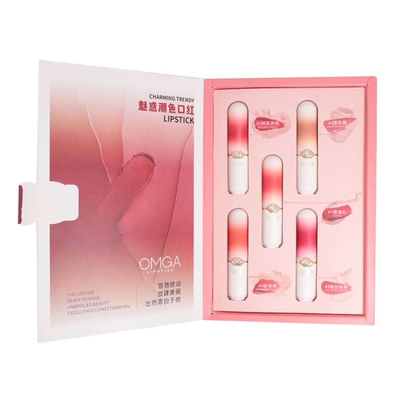 Lipstick Set of 5, Lipstick Gift Box, Holiday Gift, Birthday Gift, Basic Makeup for Students, Christmas Gift for Girlfriend