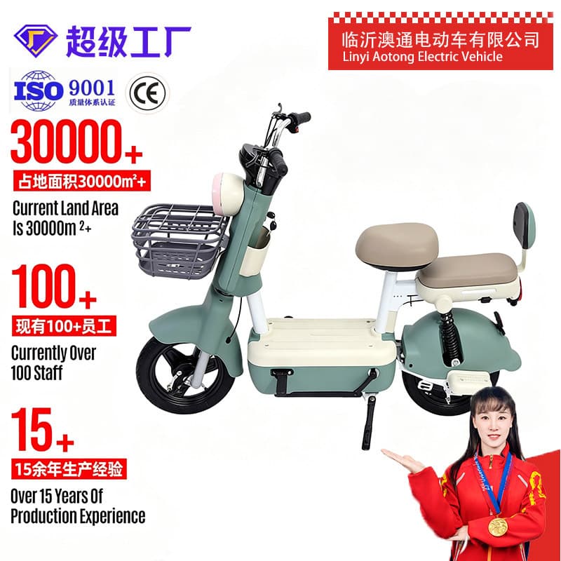Long Range Wholesale Two-Wheel Electric Bicycle Small Adult Commuter E-bike Electric Assist Bike