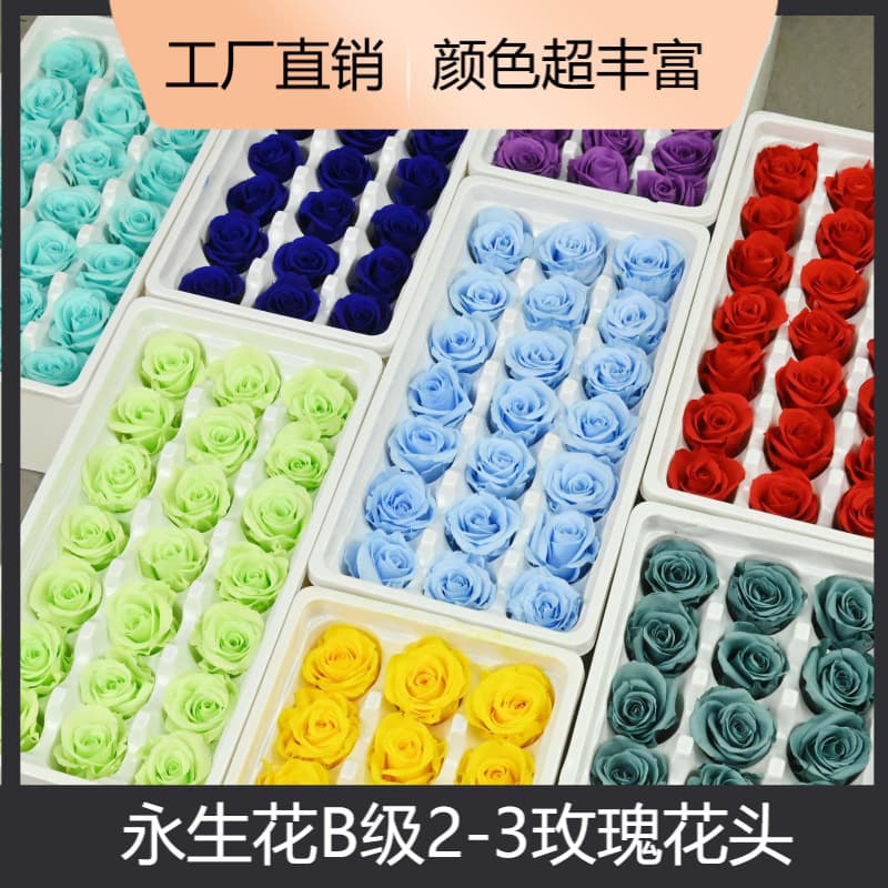 Magic Flower Eternal Flower Class B 2-3 Rose Material Wholesale Dried Flower Ferris Wheel Glass Cover Tanabata diy Flower Head Material