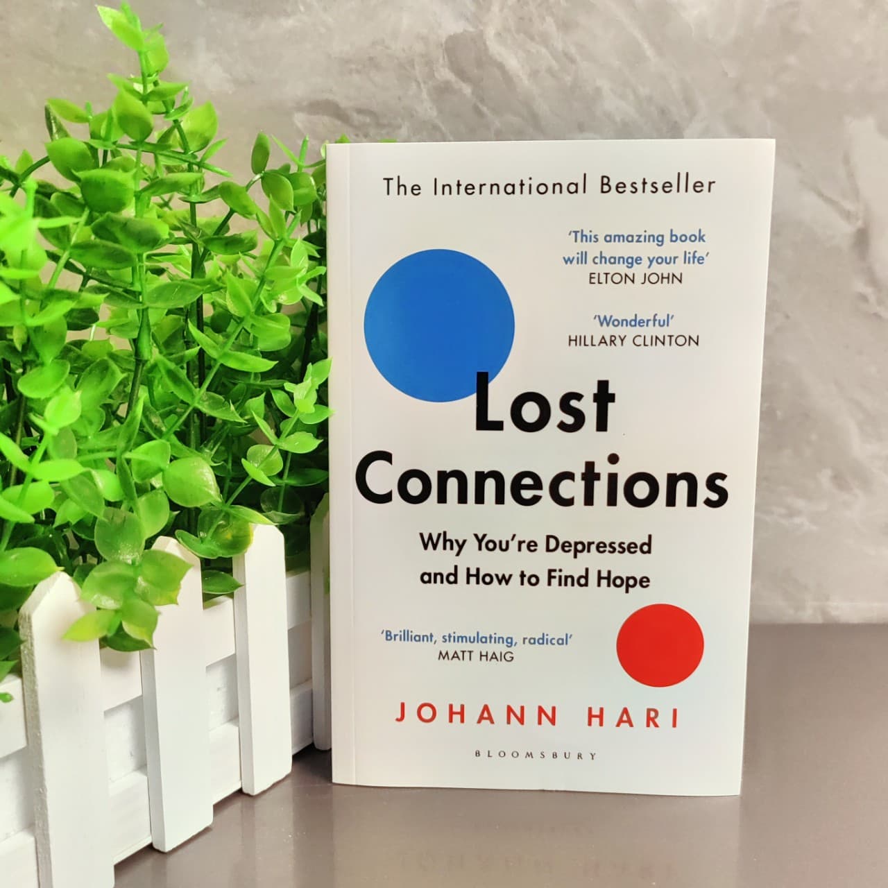 Lost Connections (English version): Understanding Frustration and Regaining Confidence