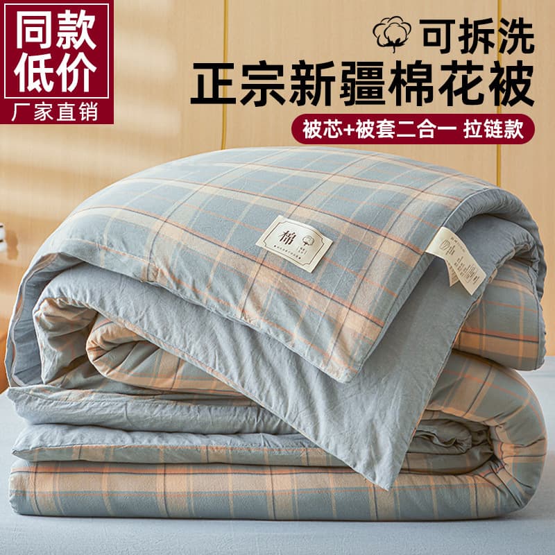 Removable and Washable Xinjiang Cotton Quilt Set, Full Set of Winter Quilt, Spring/Autumn Dormitory Single Bedding