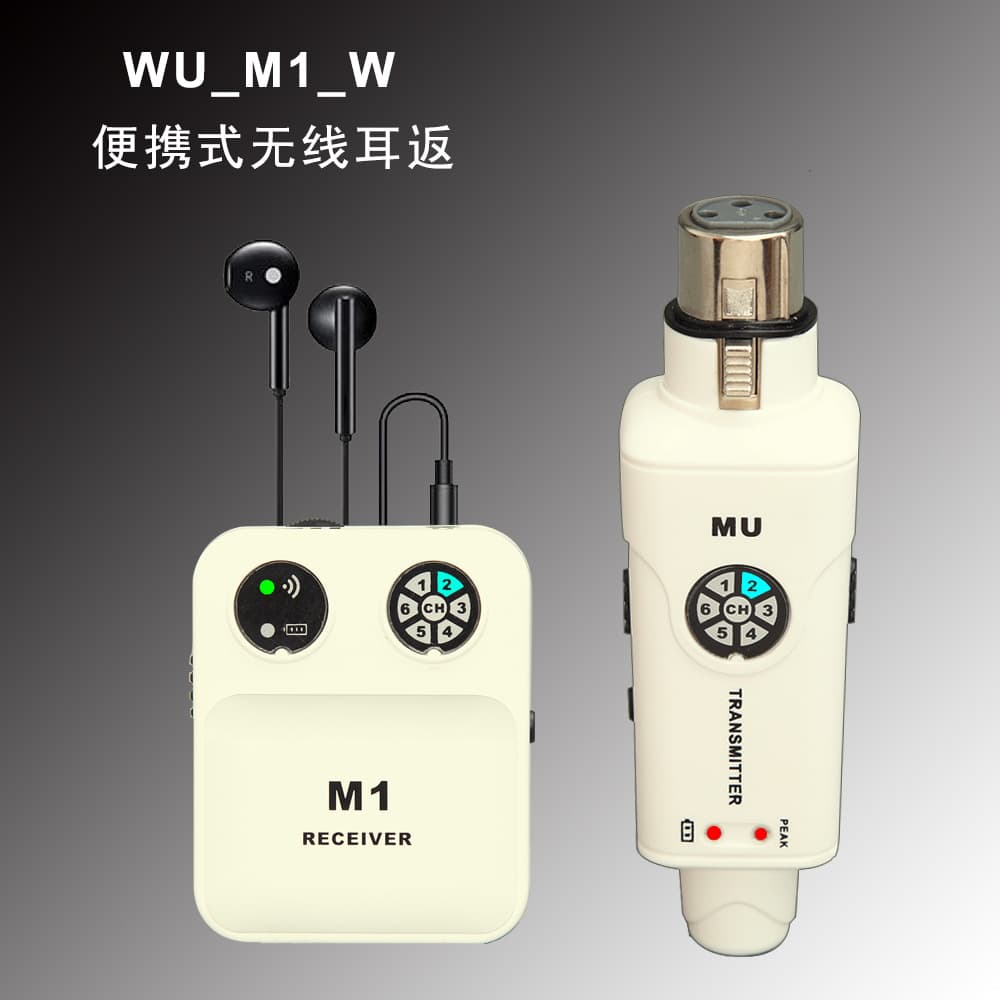 In-ear wireless monitoring system for singers, bands, and stage performances - Wireless stage return