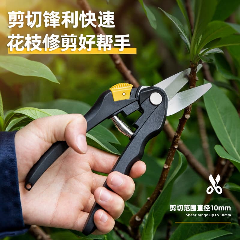 Deli DL580101 Pruning Shears with Alloy Blade for Fruit Trees, Home Gardening Branch Scissors, Flower Trimming