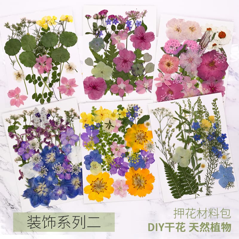 Dried Flower DIY Kit with Real Flowers, Amazon Hot Seller, Pressed Flower Frame, Scented Candle, Bookmark Materials