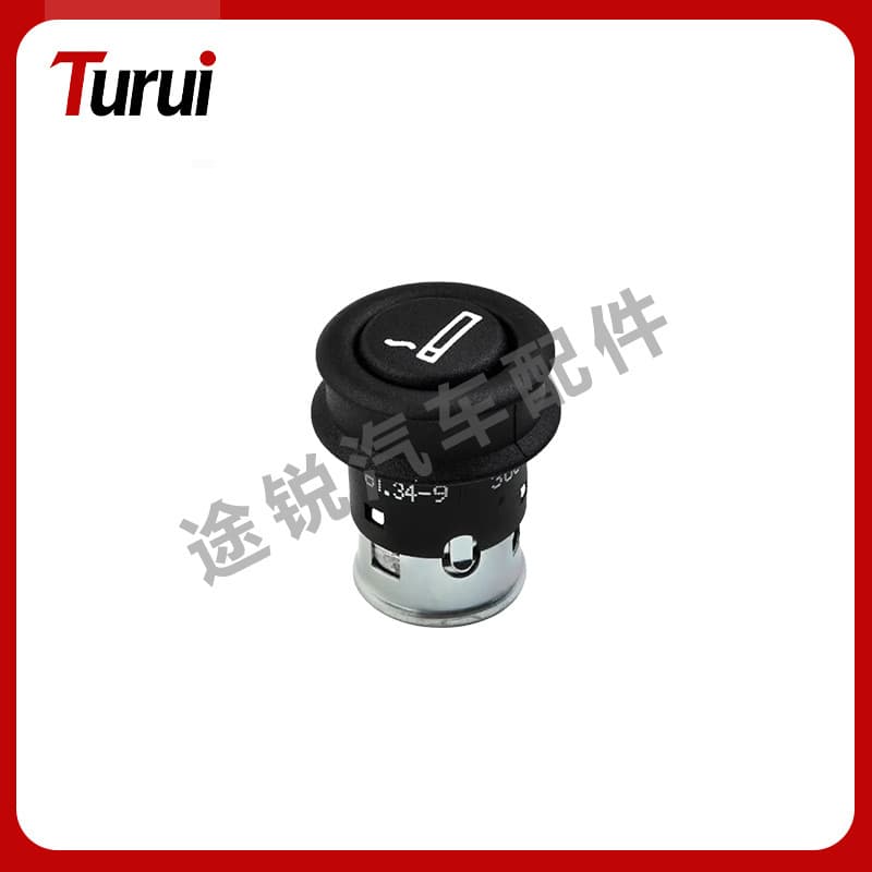 Suitable for BMW 1 Series 3 Series X1X2 Cigarette Lighter 61349308246 61346969134 BMW cars