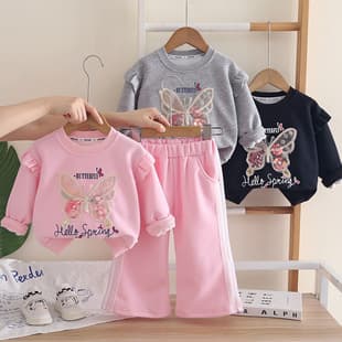 Girls' 2026 New Autumn Outfit Set: Stylish Long-Sleeve Two-Piece Set for Baby Girls, Trendy Spring/Autumn Kids' Clothes