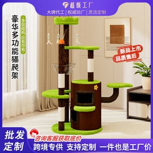 Colorful Tree Trunk Cat Tree with Cat Condo, Cat Tower, and Hideaway Cat Toy
