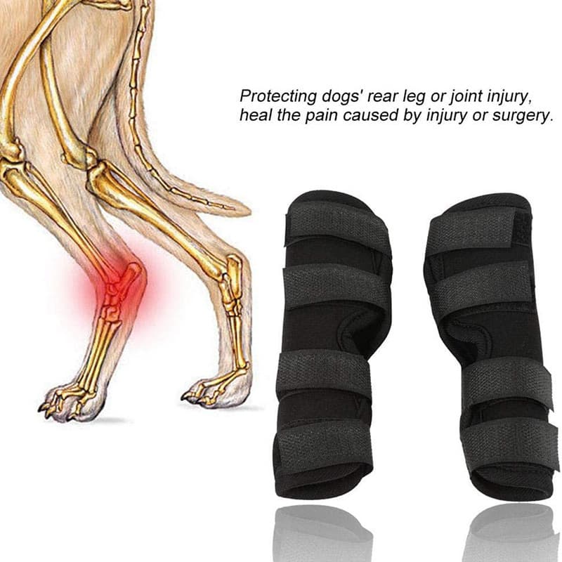 Pet Sports Knee Brace for Dog Surgery Recovery Joint Protection Pet Knee Support Pet Supplies Shenzhen Factory