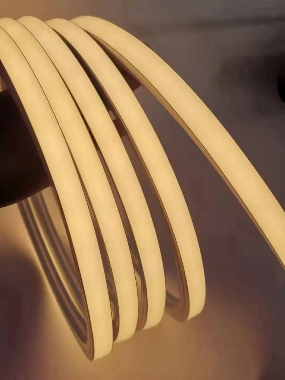 LED silicone integrated extruded light strip