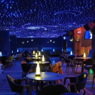 Starry Sky Ceiling Fiber Optic Light for Home Theater, KTV, Bar, Living Room, Bedroom Decoration