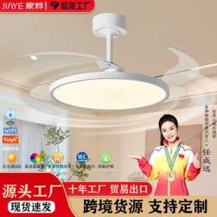 Full Spectrum Ultra-Thin Invisible Fan Light, Eye-Protective Bedroom Ceiling Fan Light, Silent Variable Frequency Dining Room Living Room Ceiling Fan Light