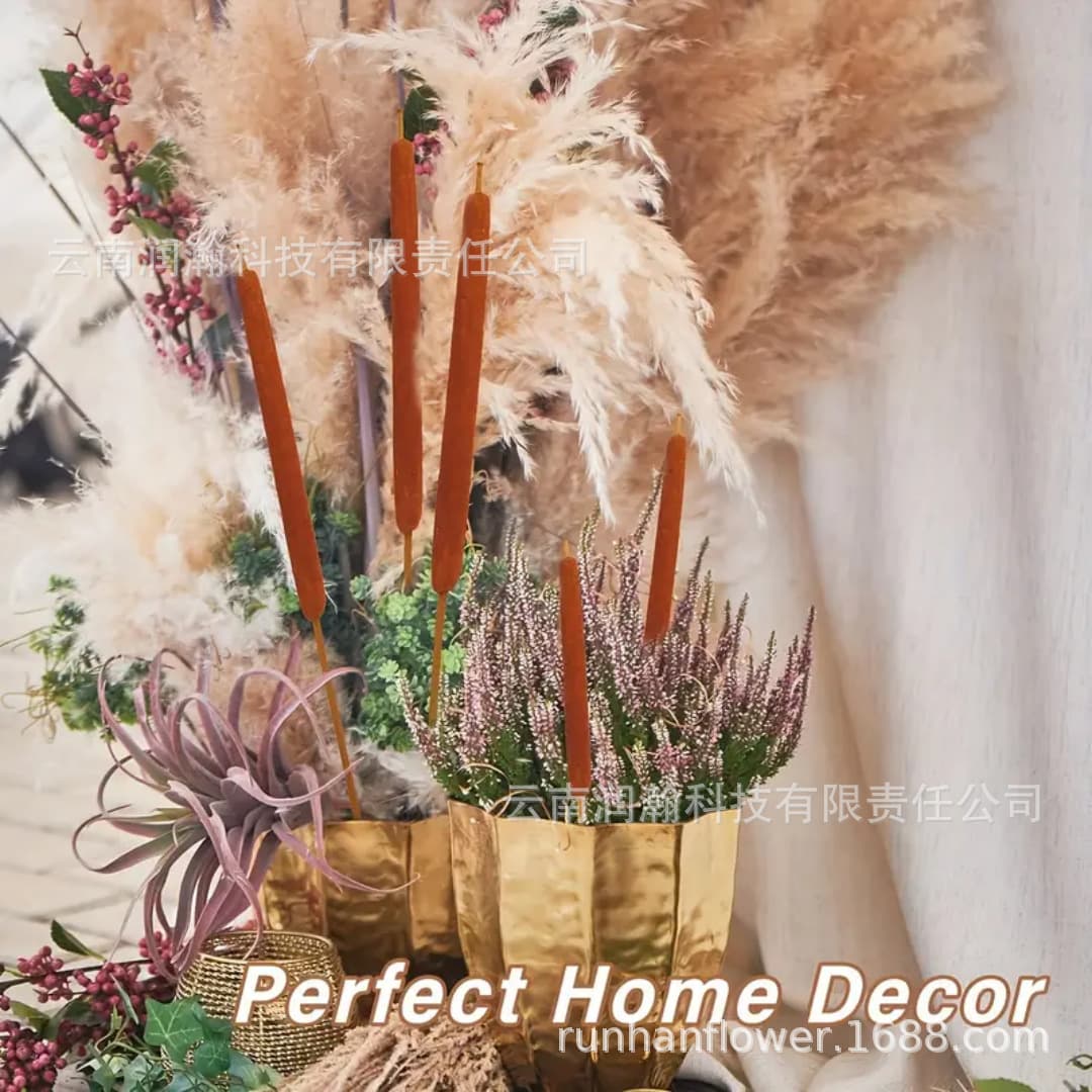 Natural Reed Cattail Dried Flower Large Cattail Shape Scene Decoration Photography Prop Home Decor Large Reed Cross-Border Wholesale