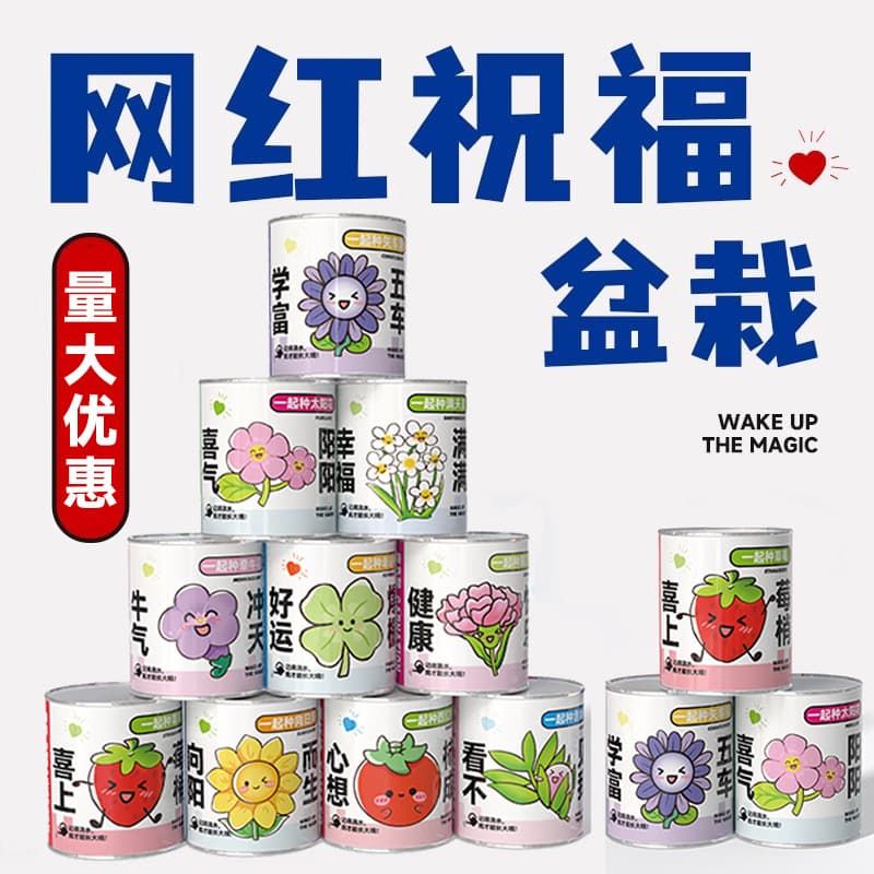 End-of-Term Gift Plant Blind Box Small Potted Flowers and Greenery Easy to Care for Kids Gift Desktop Plant Wholesale