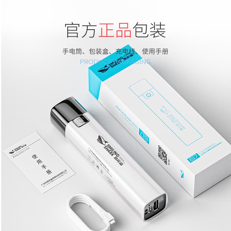 Mini ABS Bright Flashlight USB Rechargeable Outdoor Small Flashlight Portable Household Lighting Flashlight for Hiking