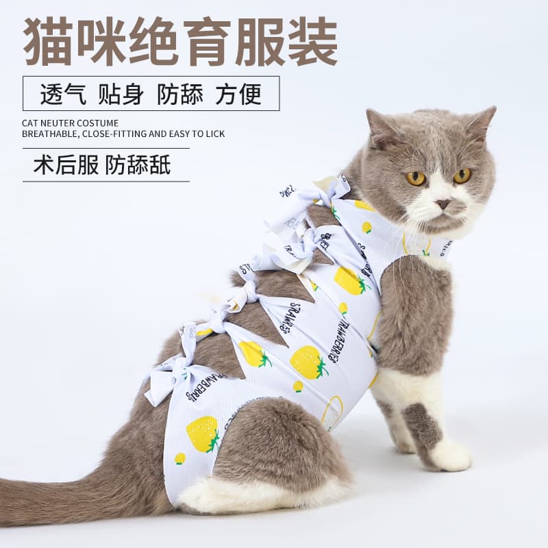 Wholesale Pet Cat Spay Suits, Post-Surgical Medication Garments, Weaning Breathable Panties, Anti-Licking Harassment Clothing Supplies