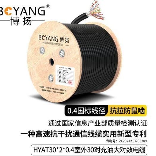 Boyang Outdoor 30-Pair Oil-Filled Large Pair Communication Cable Waterproof Telephone Cable 100m BY-HYAT30*2*0.4