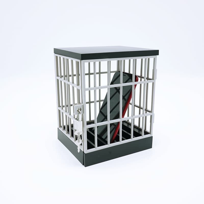 Phone Cage for Students, Party, Creative Gift, Self-Discipline Tool with Lock and Timer, DIY Phone Jail