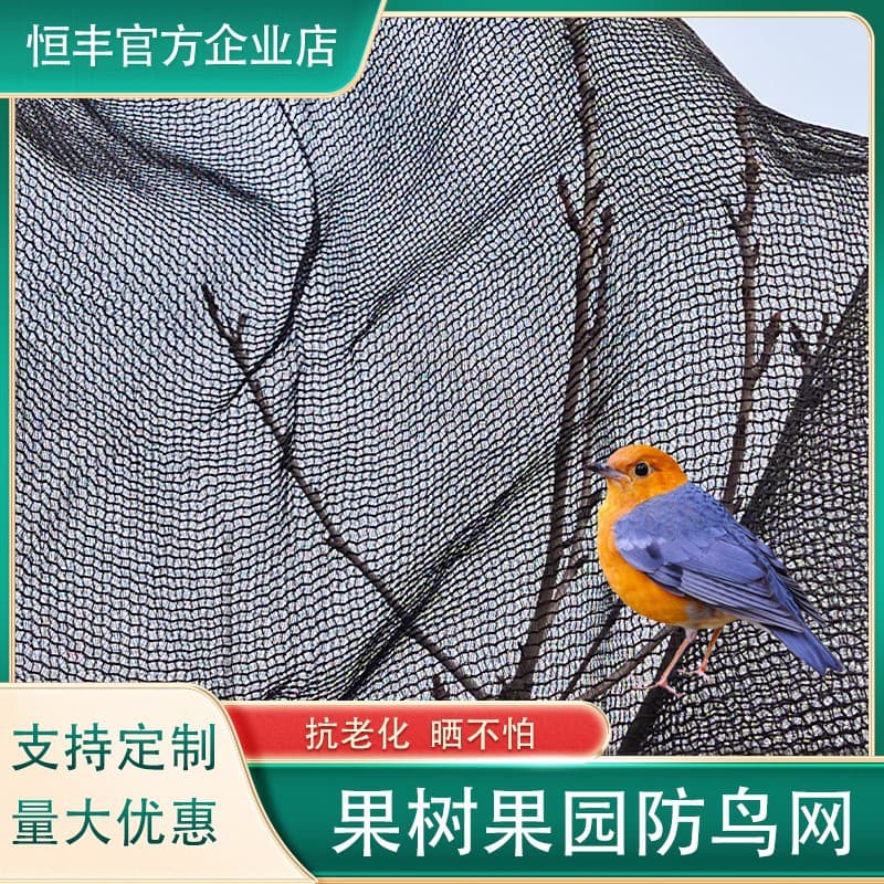 Alibaba-1688 product cannot be viewed or has been removed