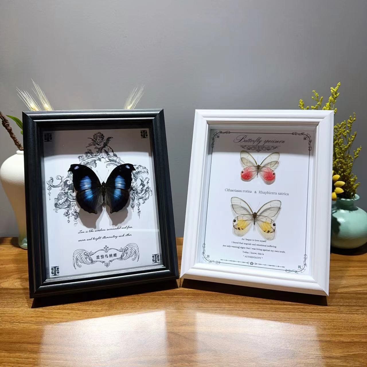 3D Hollow Glass Frame DIY Butterfly Specimen Dried Flower Frame Display Solid Wood Frame 6 Inch Framing Picture Frame